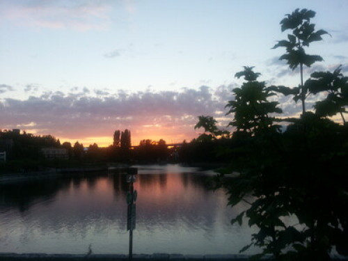 Big Gardenview Rm near Granville Is - Gallery - 7