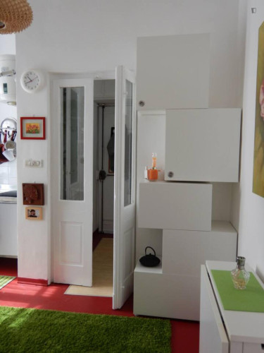 1-bedroom apartment, with outdoor area