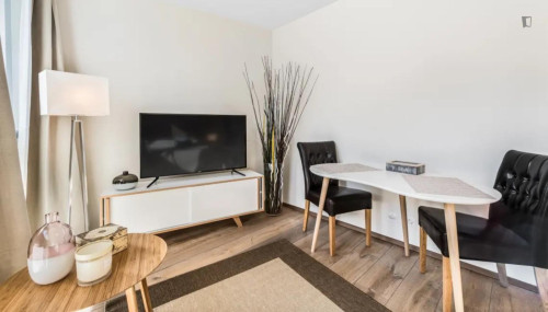 Very comfy studio near the Lancy-Pont-Rouge train station