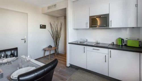 Attractive studio in the Carouge district