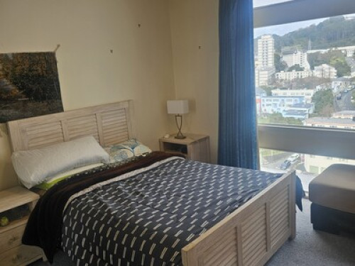 room in apartment in Aro Valley
