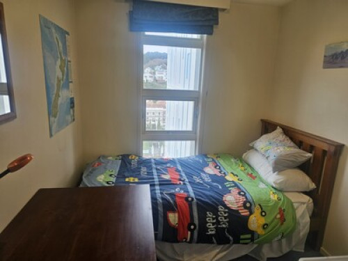 room in apartment in Aro Valley