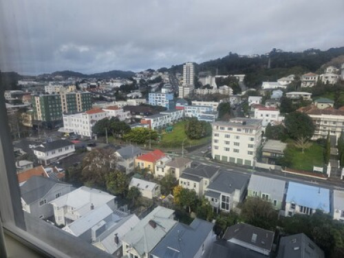 room in apartment in Aro Valley