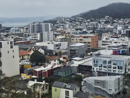 room in apartment in Aro Valley