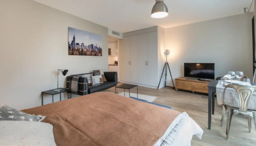 Luminous and modern studio in Carouge