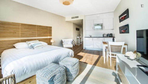 Sunny and big studio in the Carouge district