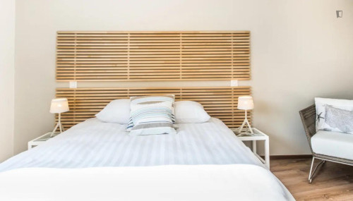 Sunny and big studio in the Carouge district