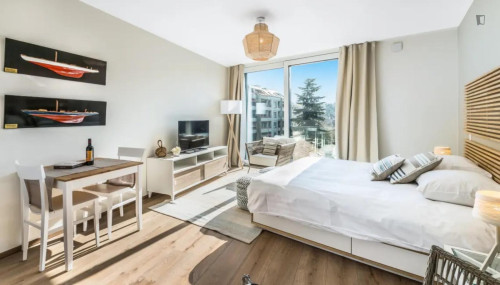 Sunny and big studio in the Carouge district