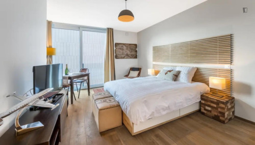 Admirable studio in Carouge