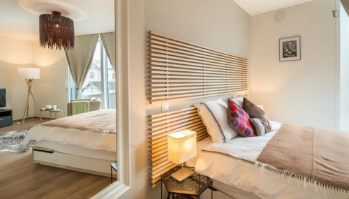 Tasteful studio in Carouge