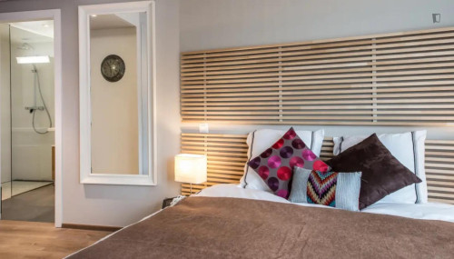 Tasteful studio in Carouge