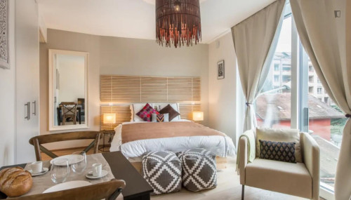 Tasteful studio in Carouge