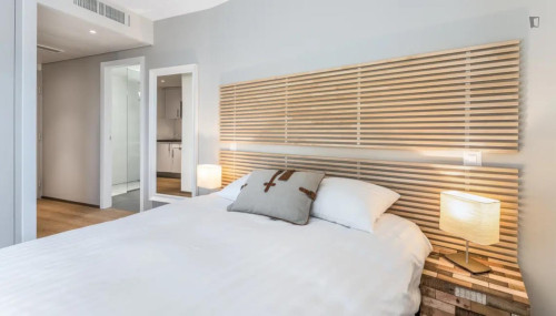 Excellent studio in Carouge