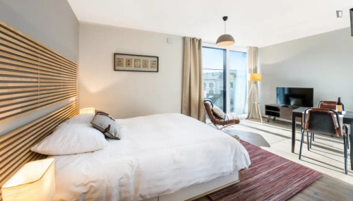 Excellent studio in Carouge