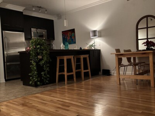Clean and modern condo in Montreal - Gallery - 7