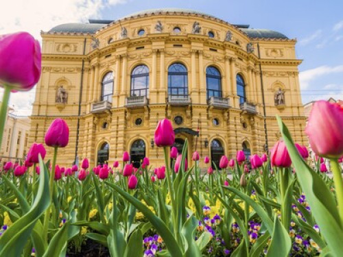Lovely flat in the  of Szeged - Gallery - 23