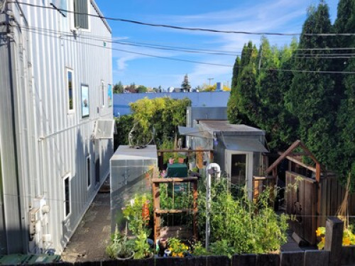 The Steele Tree House