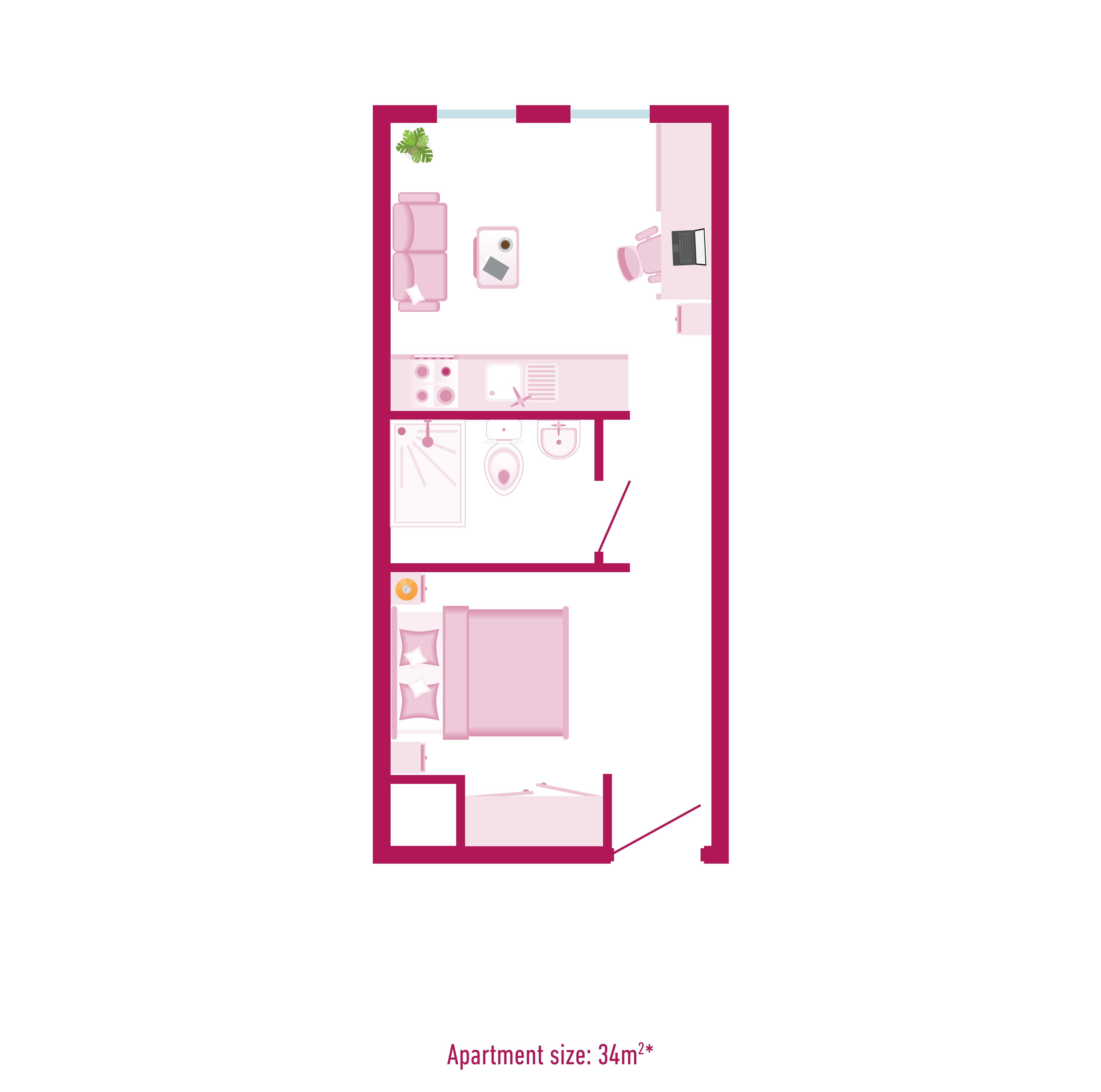 Deluxe Plus Studio - 5