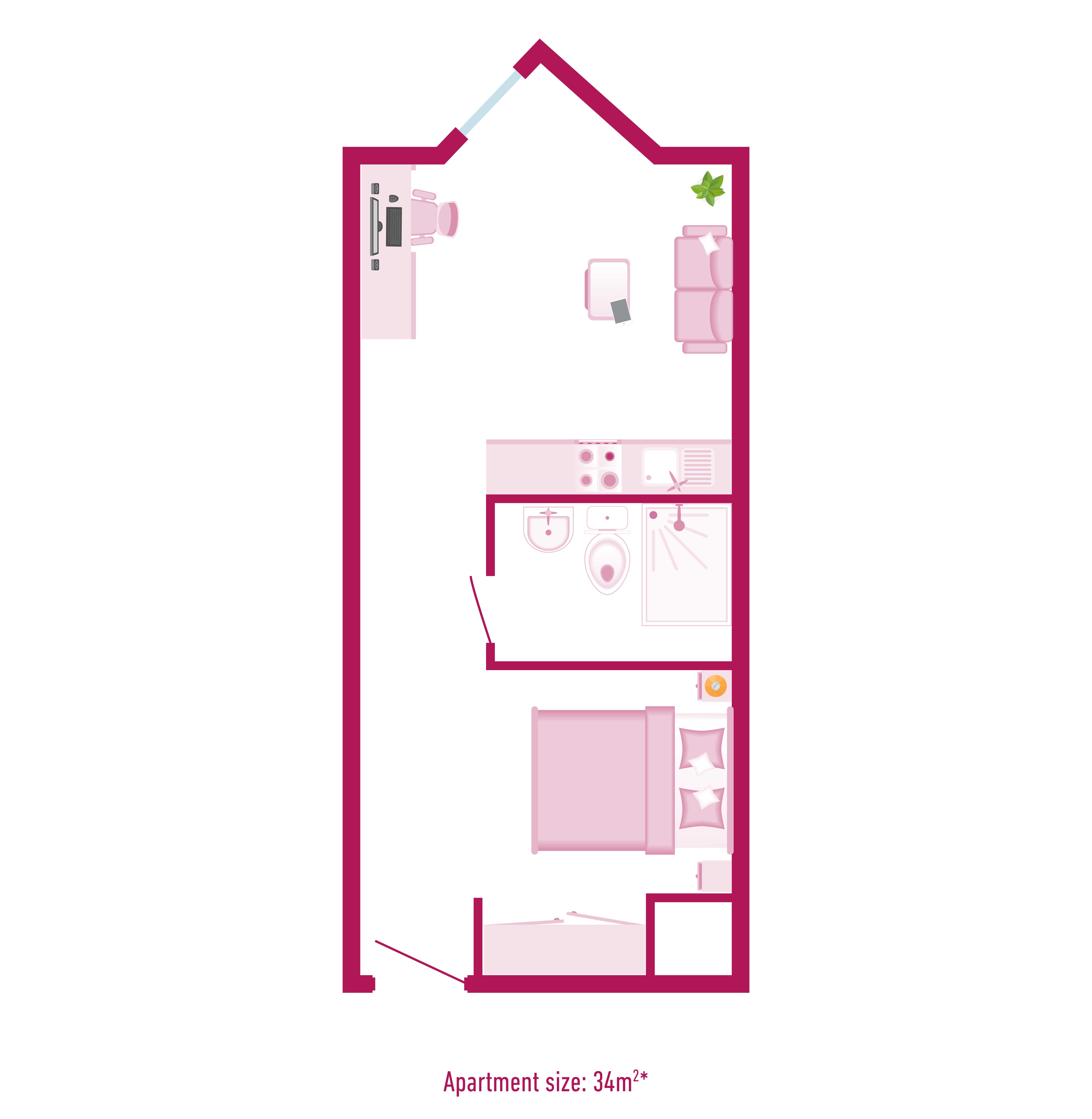  Premium Studio  -  City Heights  - Gallery -  2