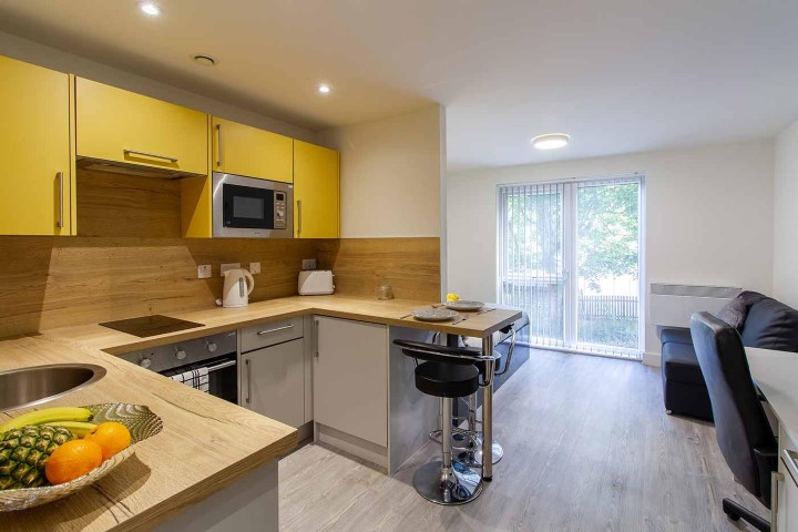  Dover Street Apartments - Standard Studio  -  Dover Street Apartments  - Gallery -  3