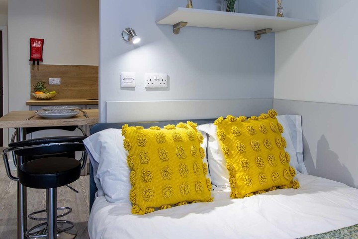  Dover Street Apartments - Standard Studio  -  Dover Street Apartments  - Gallery -  8