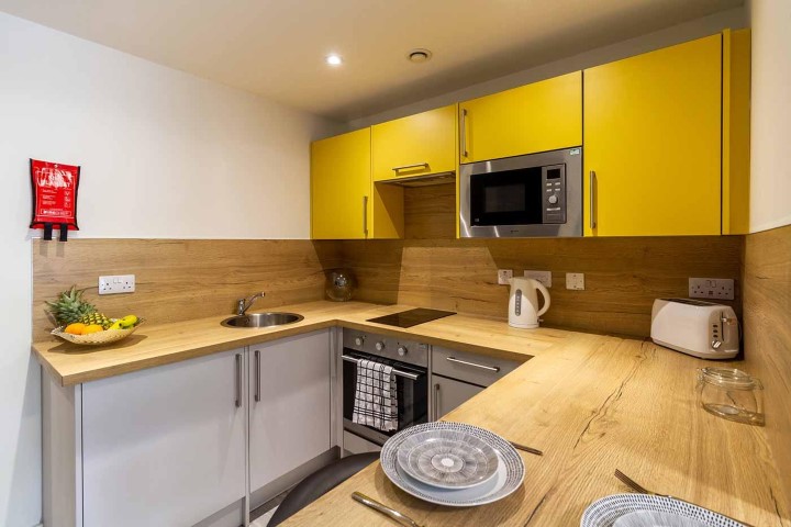  Dover Street Apartments - Standard Studio  -  Dover Street Apartments  - Gallery -  5