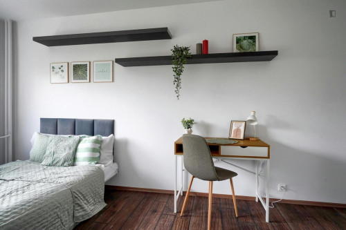 Lovely double bedroom near the centre of Warsaw