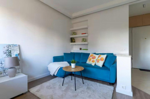 Neat studio near Fort Bema