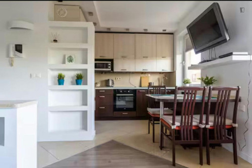 Neat studio near Fort Bema