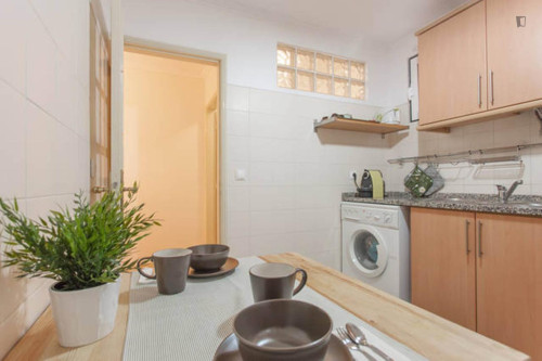 Very nice 1-bedroom flat