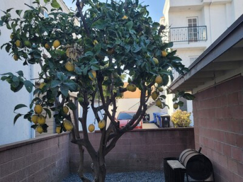 Enjoy San Pedro with us - Gallery - 6