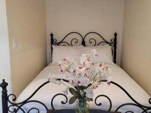 Enjoy San Pedro with us - Gallery - 7