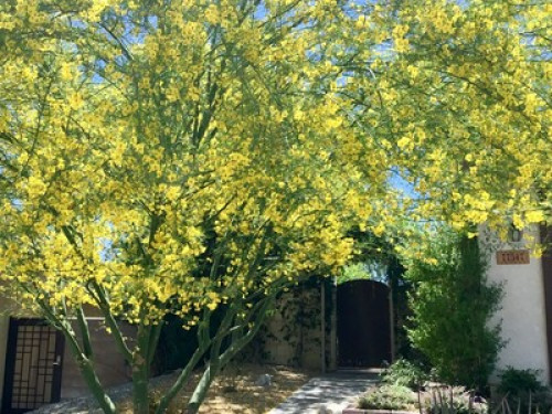 Peaceful Scenic Desert Retreat - Gallery - 11