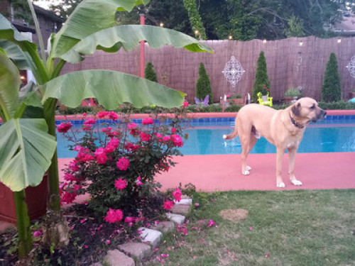 Lakeview, hot tub & pool - Gallery - 25