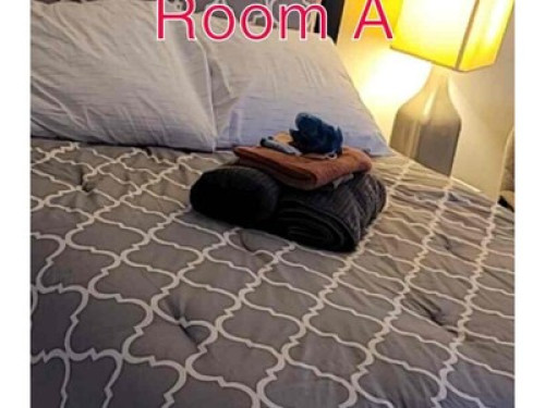 Friendly Family home Rooms to rent  - Gallery - 12