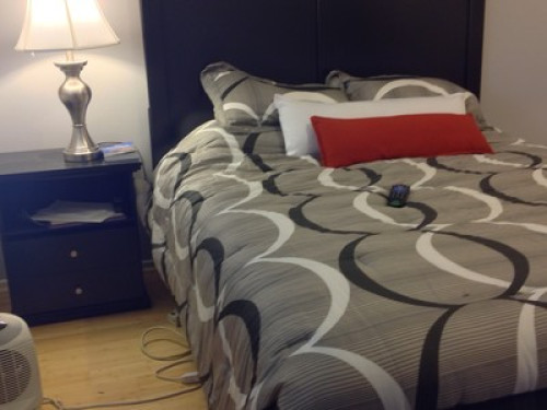 Luxury Homestay for Students - Gallery - 7