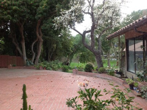 Luxury Homestay for Students