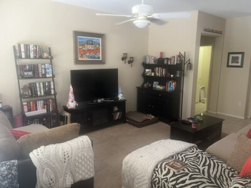 Comfy Desert Home
