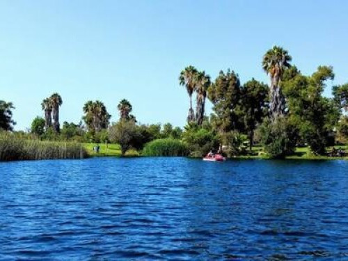 Homestay Casual California living! - Gallery - 5