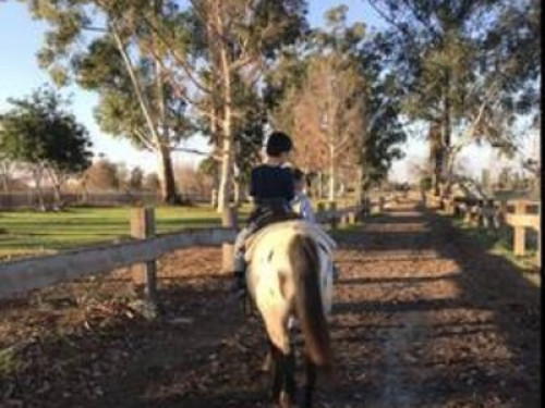 Homestay Casual California living! - Gallery - 39