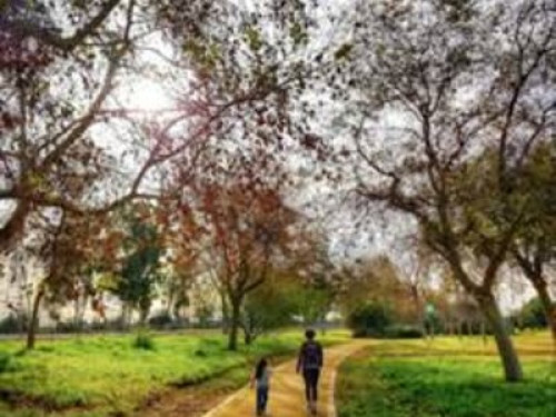 Homestay Casual California living! - Gallery - 38