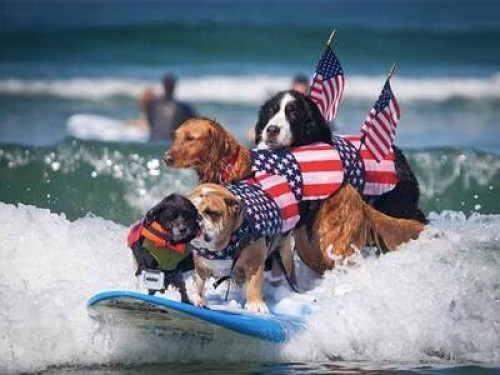 Homestay Casual California living! - Gallery - 41