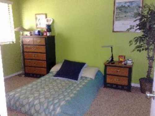 Reading and movie enthusiasts - Gallery - 5