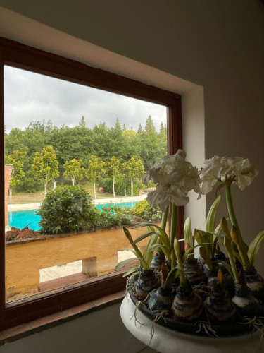 Focardo Home - Gallery - 11