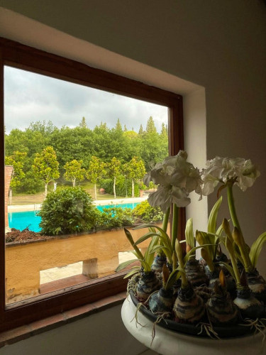 Focardo Home - Gallery - 53
