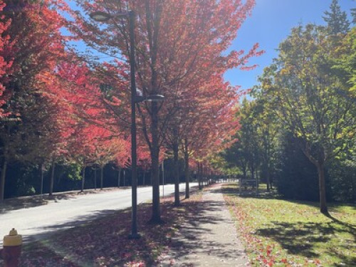 Welcome to Vancouver, your home