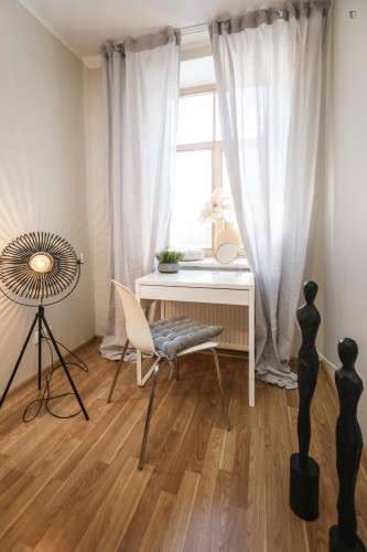 Alluring single bedroom near Riga central station