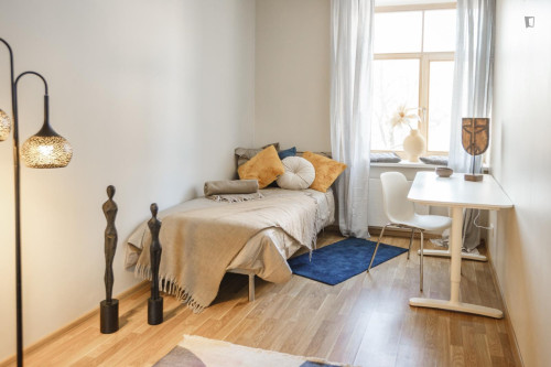 Cosy single bedroom near Riga central station