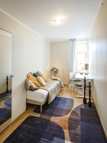 Neat single bedroom near Riga central station