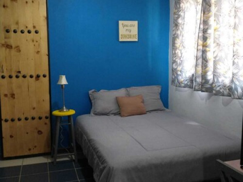 TERRAZA  - Gallery -  5